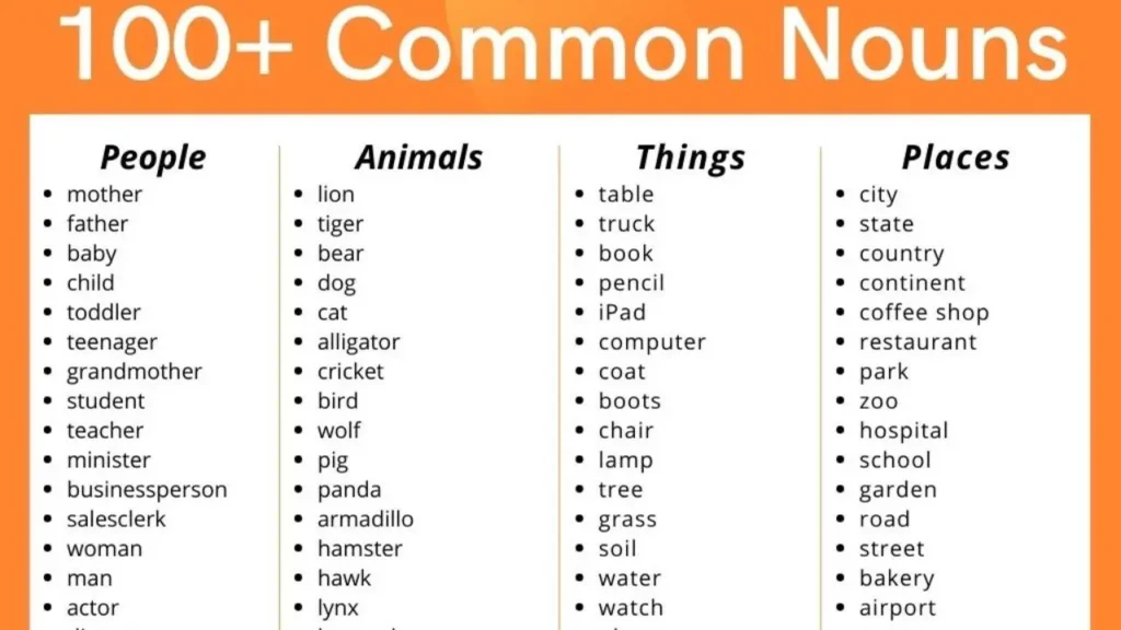 What Is Common Noun? 