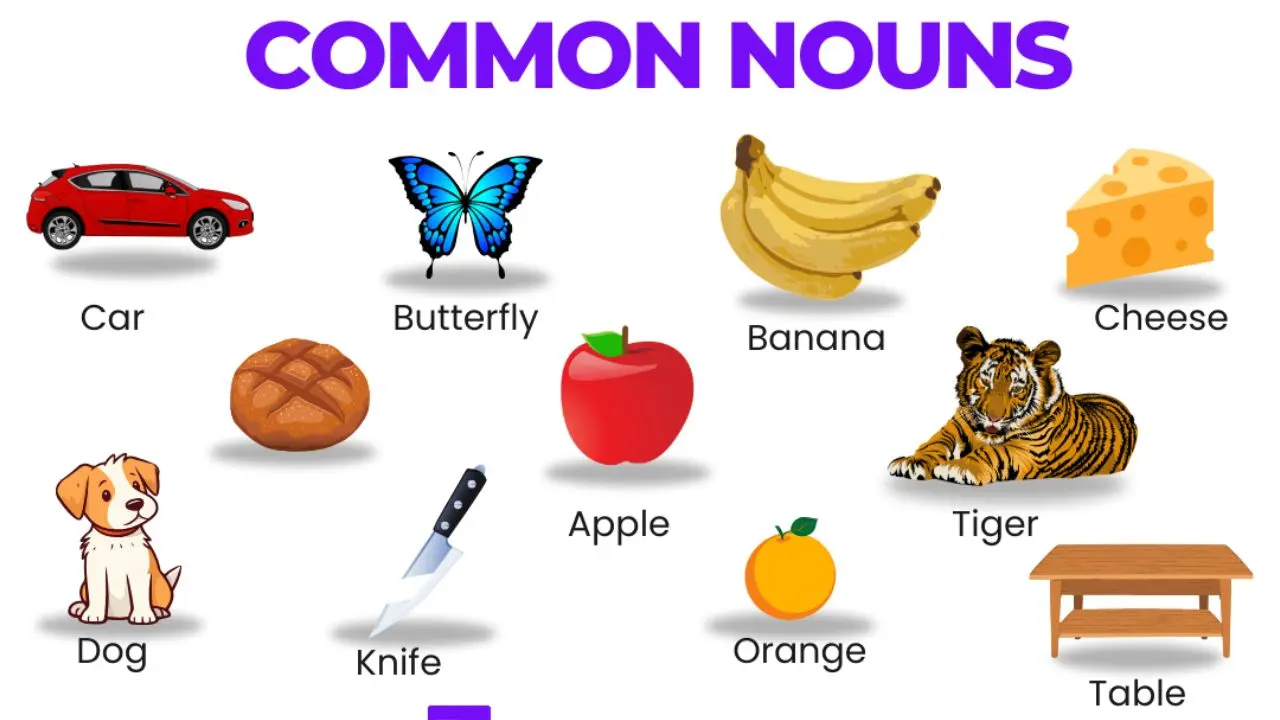 What Is Common Noun?