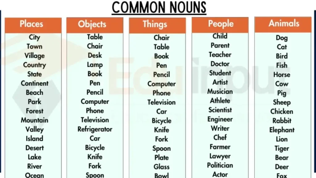 What Is Common Noun? 