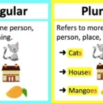 Singular And Plural Noun