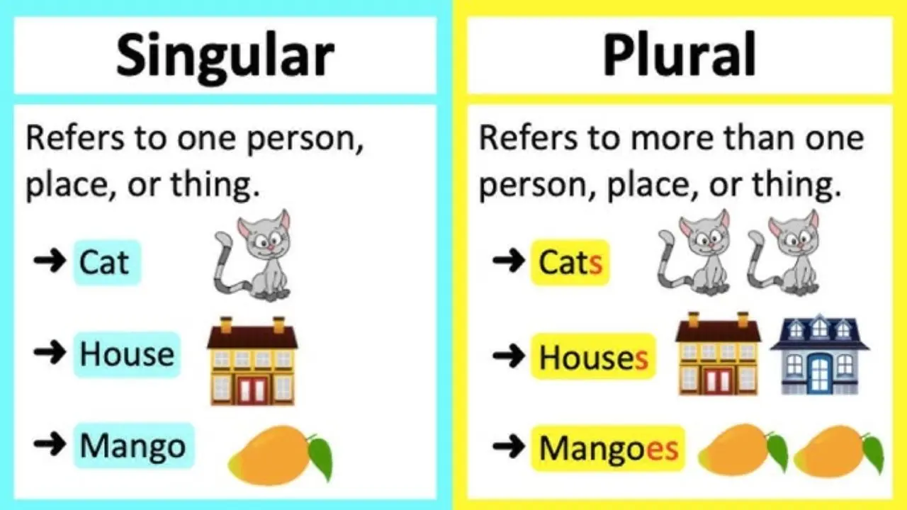 Singular And Plural Noun