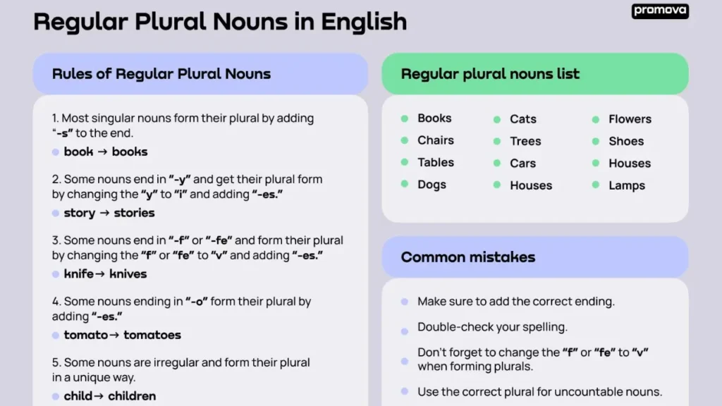 Singular And Plural Noun