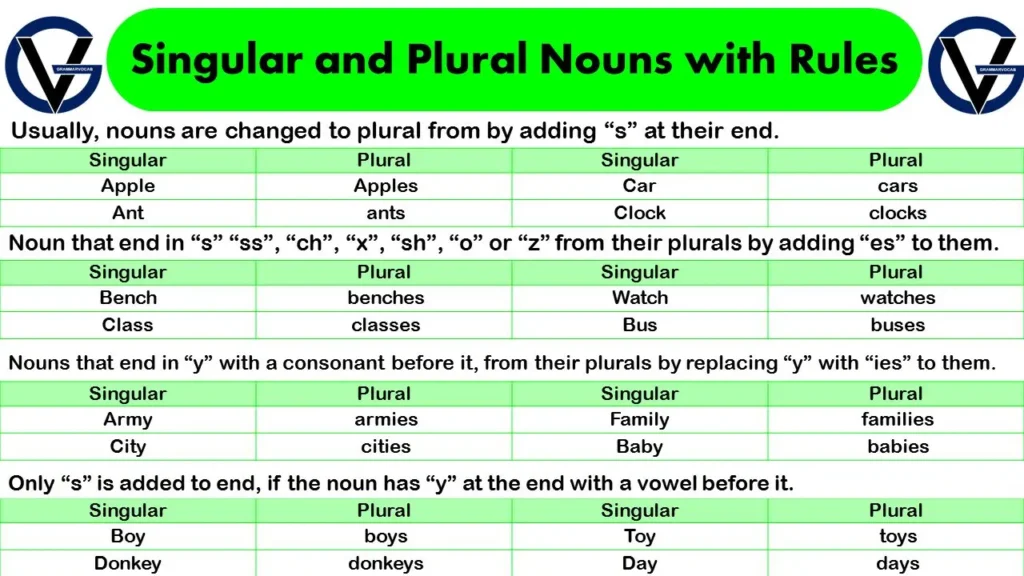 Singular And Plural Noun