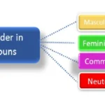 Type Of Noun Based On Gender