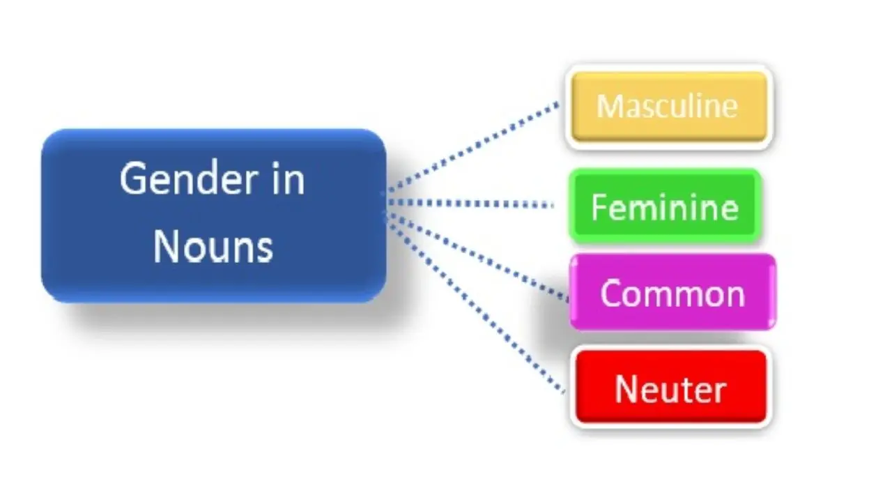 Type Of Noun Based On Gender